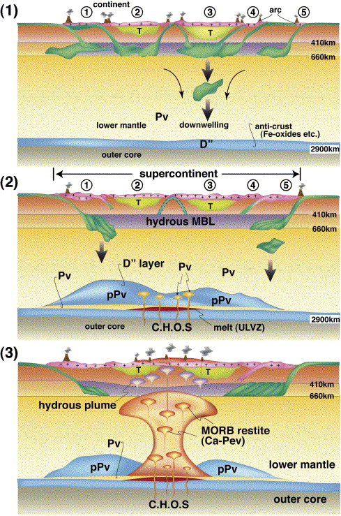 Plume tectonics and Supercontinents